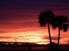 md05011