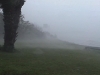 hurrkellypark