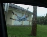 tinhoflying